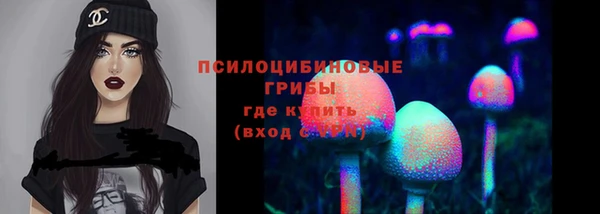 PSILOCYBIN Ростов